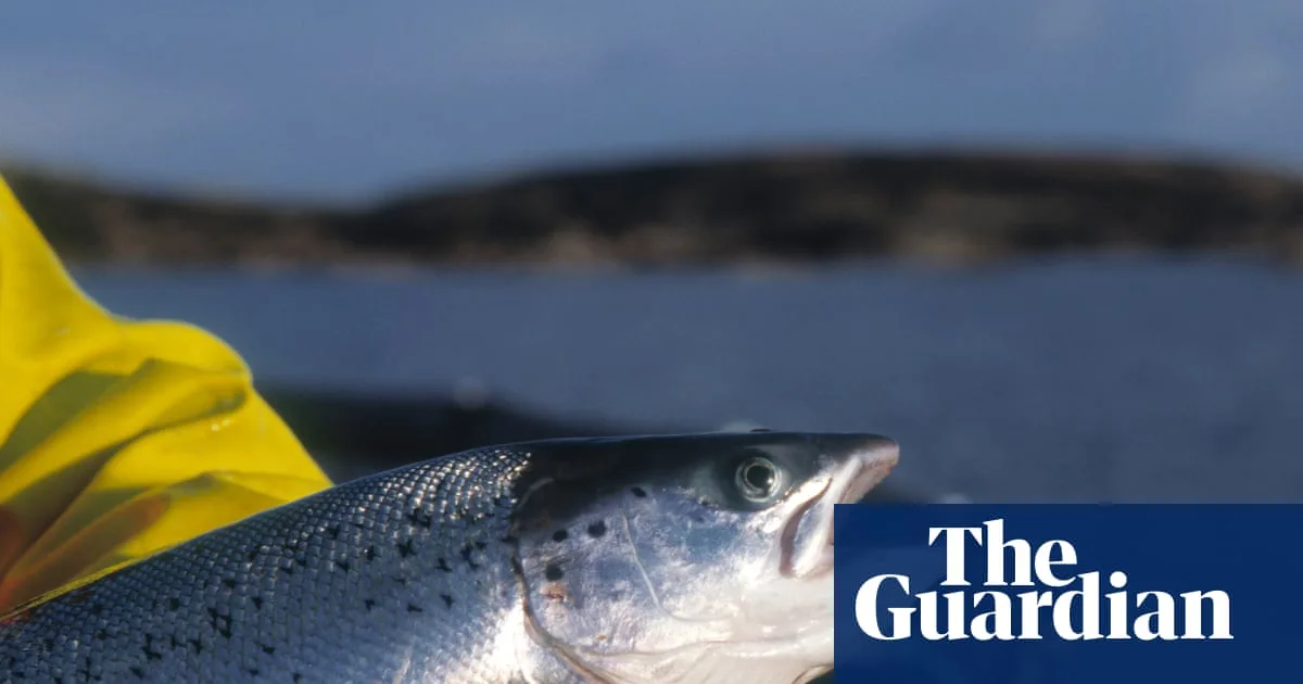 Organic Salmon Certifier Forced to Share Inspection Reports