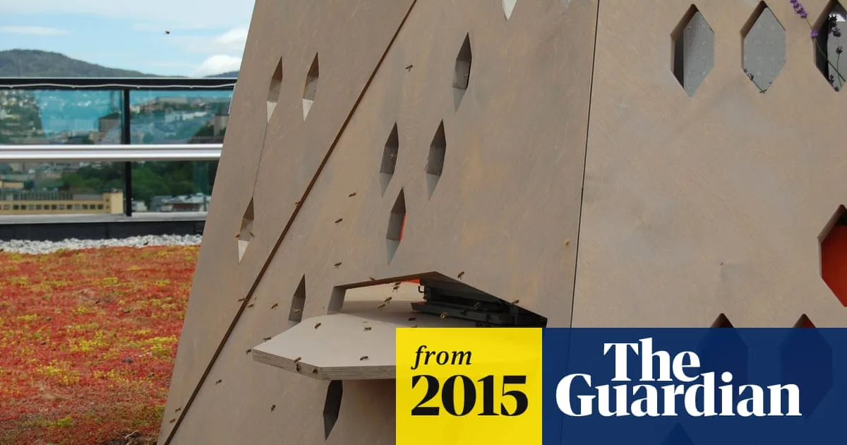Oslo Creates World's First 'Bee Highway' to Protect Pollinators