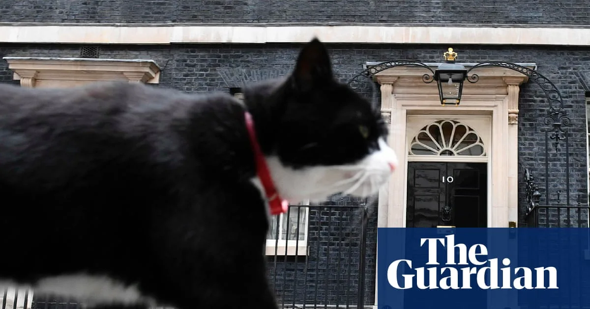 Palmerston, former Foreign Office chief mouser, dies in Bermuda