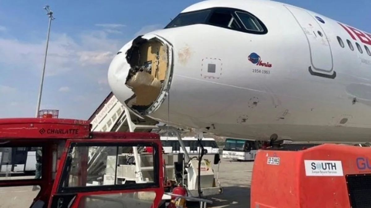 Passengers in 'Sheer Panic' After Holiday Flight Severely Damaged by Bird Strike