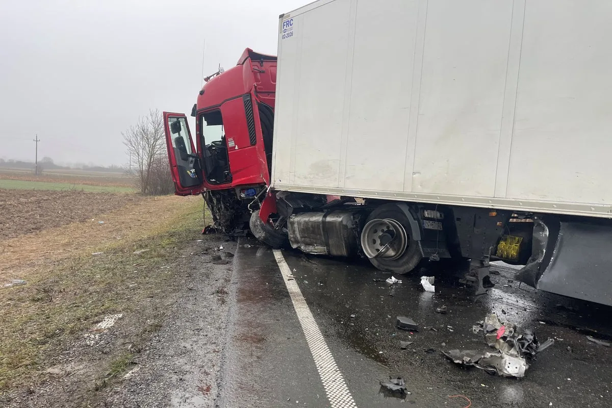 Seven PAOK Fans Killed in Minibus Crash in Romania