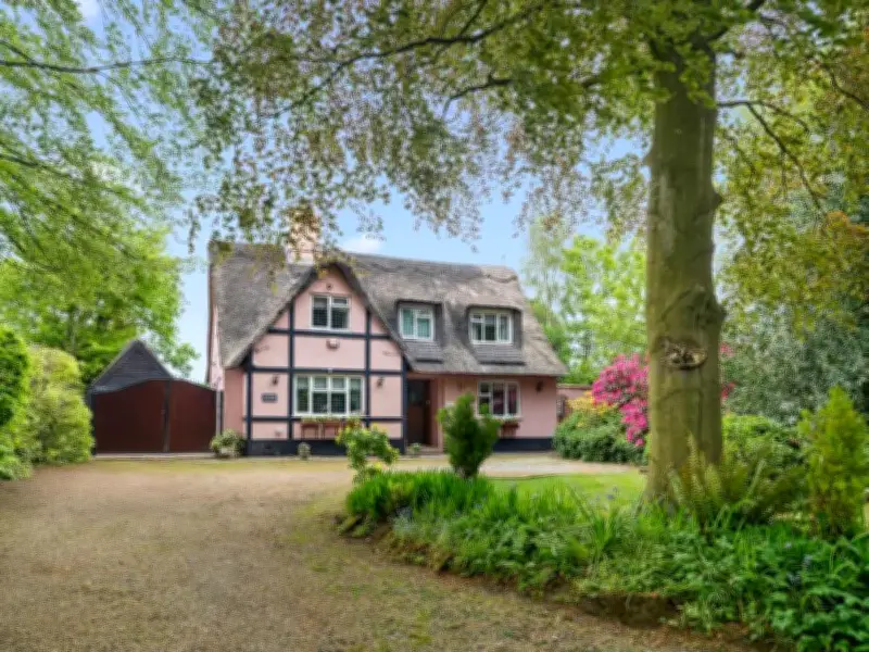 Pastel Pink Thatched Cottage in Hale Village Listed for £600,000