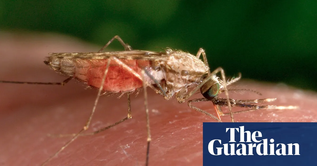 Mosquitoes Can Learn to Find Deet Attractive, Study Suggests