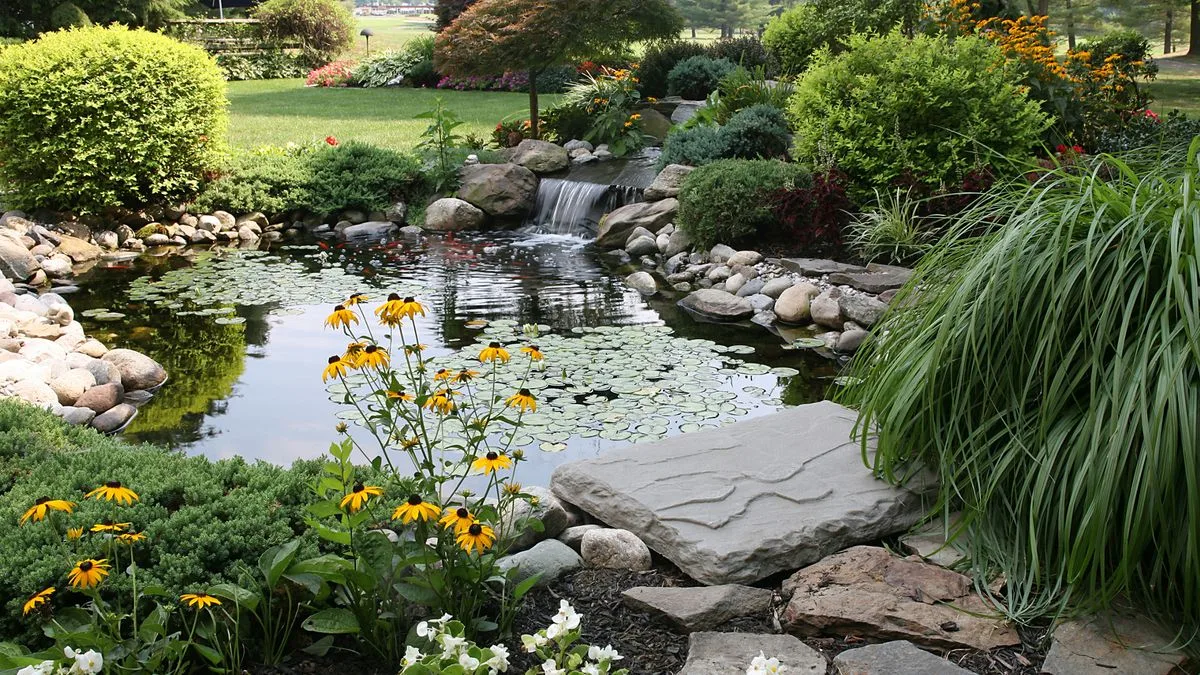 Monty Don Urges Pond Owners to Divide Aquatic Plants Before Mid-May