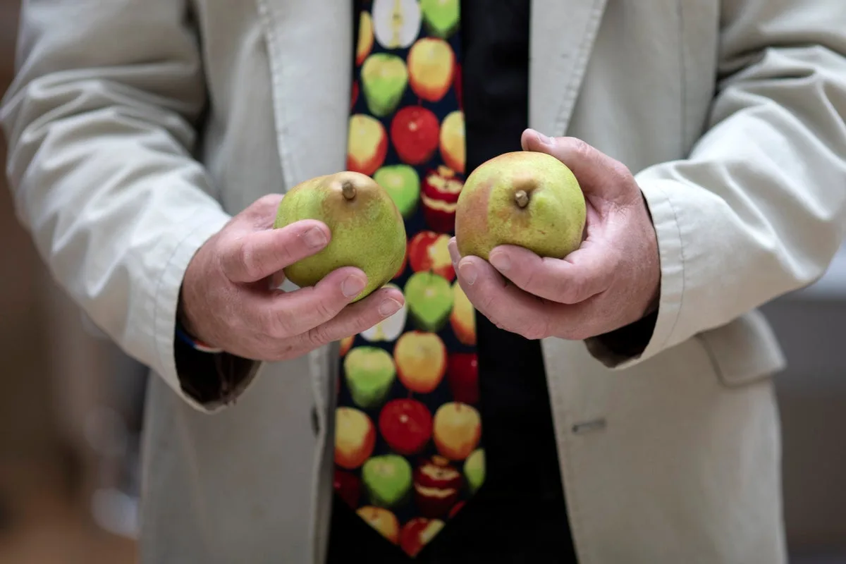 Pears: The British Fruit Fighting Heart Disease