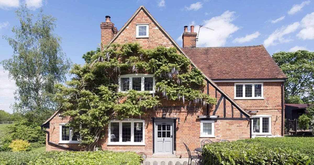 Gardener Claims White Vinegar and Dish Soap Can Permanently Banish Ivy