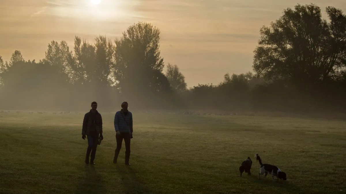 Pet Experts Warn of Hidden Dangers in Parks for Dogs This Autumn
