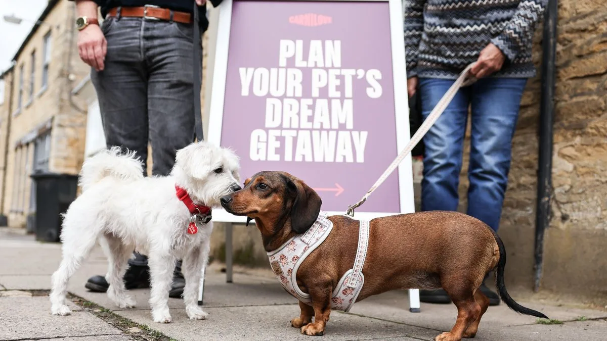 Pet Owners Skip Abroad Holidays Over Lack Of Pet Friendly Options