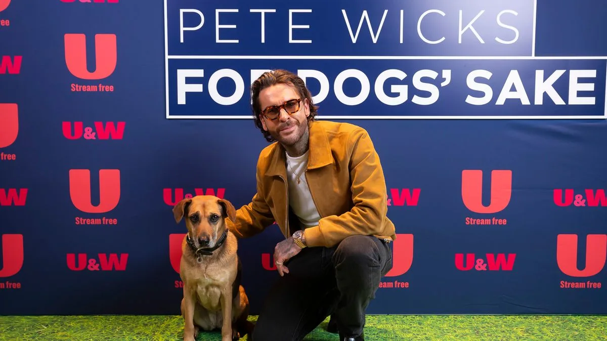 Pete Wicks' Dog Show Drives 20% Adoption Increase
