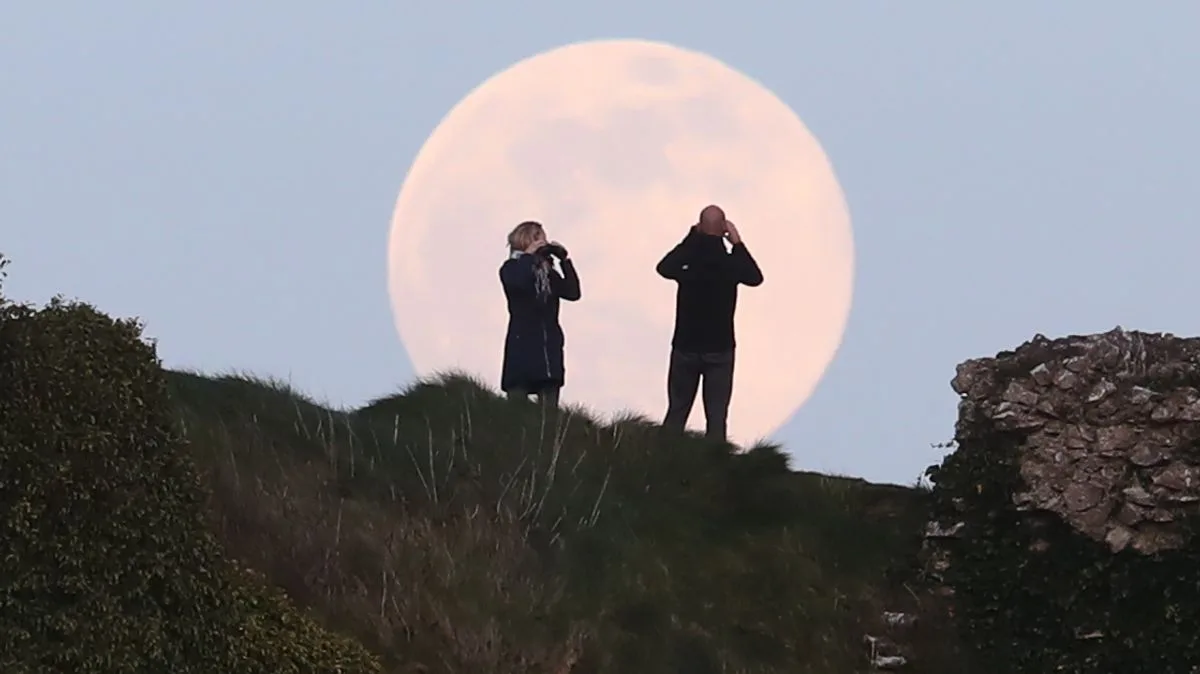 Pink Moon 2026: Exact UK Viewing Times and Peak Dates