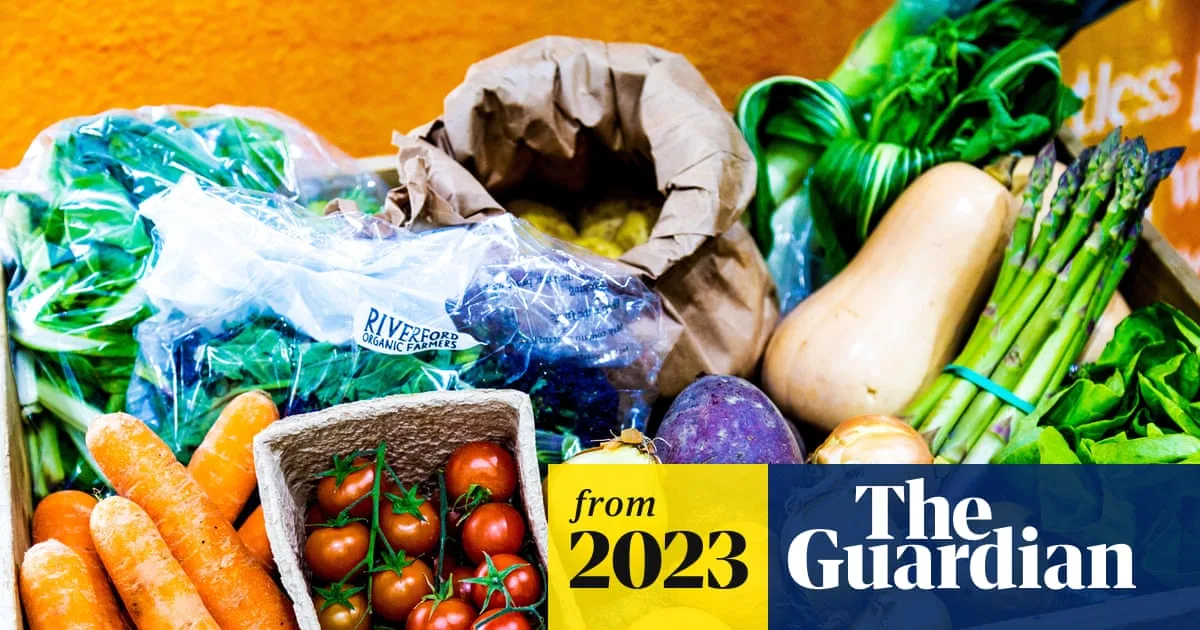Vegan Diet Reduces Environmental Damage by 75%, Study Finds