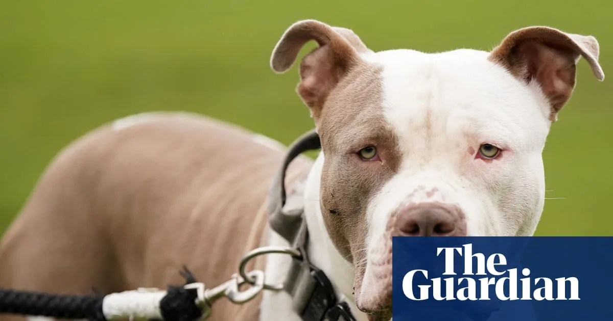 New Law Bans Leaving Children Under 12 Alone with XL Bullies and Other Dangerous Dogs