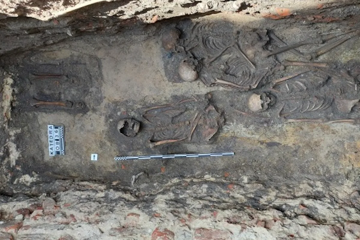 Medieval 'hugging skeletons' confirmed as Poland's first same-sex double burial