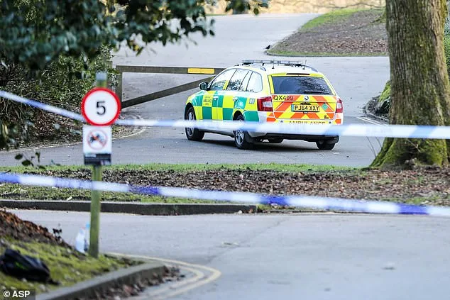 Woman Detained Under Mental Health Act After Stabbing Girl, 7, in Bolton Park