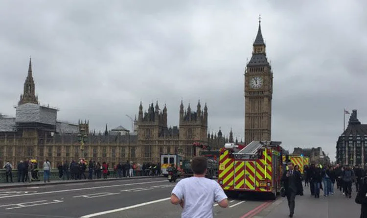 Police Rescue Man from Thames Near Westminster Bridge