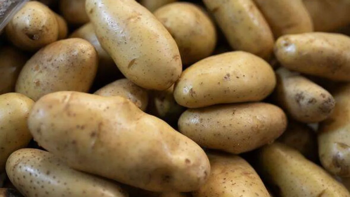 Clever potato storage hack keeps them 'fresh and tasty for months'
