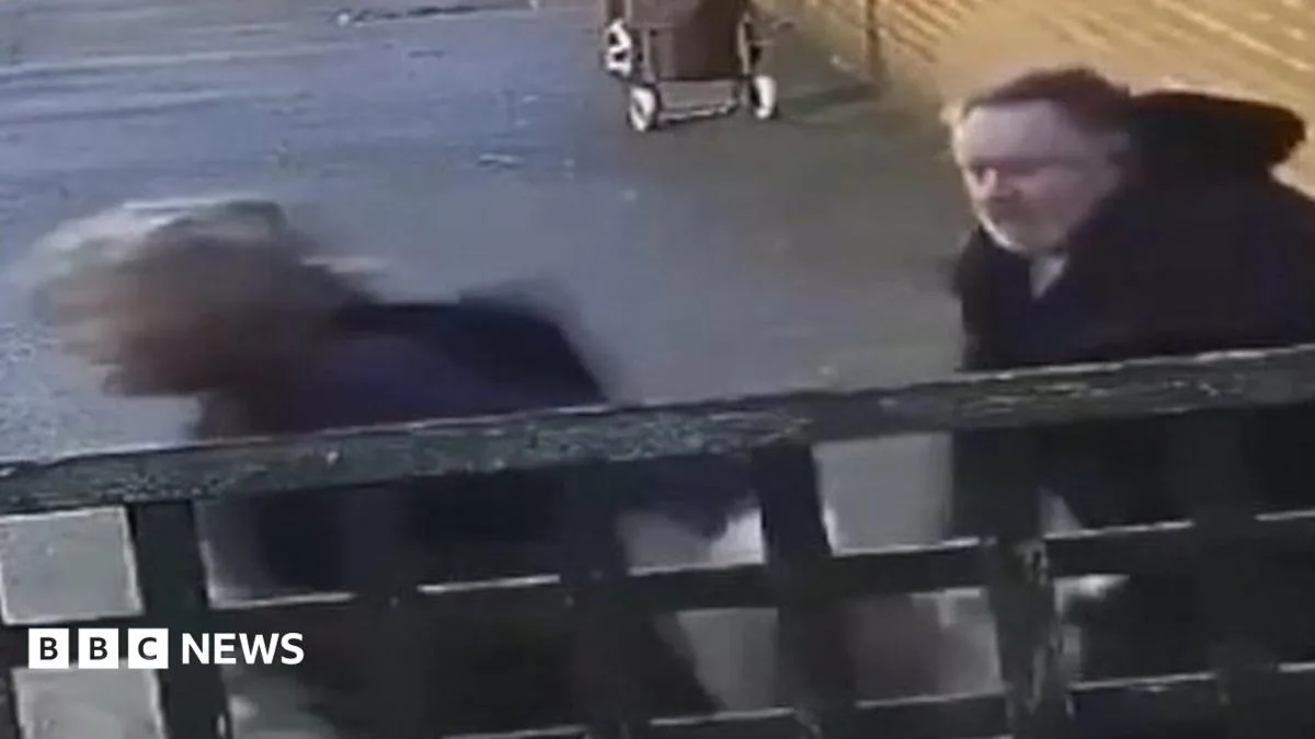 Pregnant Teen Assaulted in Stamford Hill Street Attack