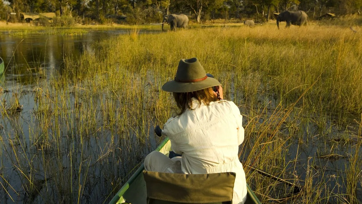 Prehistoric Shoebill Bird Lands on Tourist Boat in Uganda