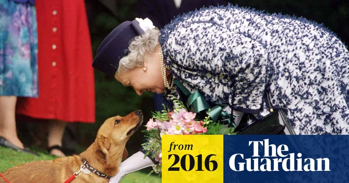 Queen's Corgis Dine on Steak and Rabbit, Served by Butler in Order of Seniority