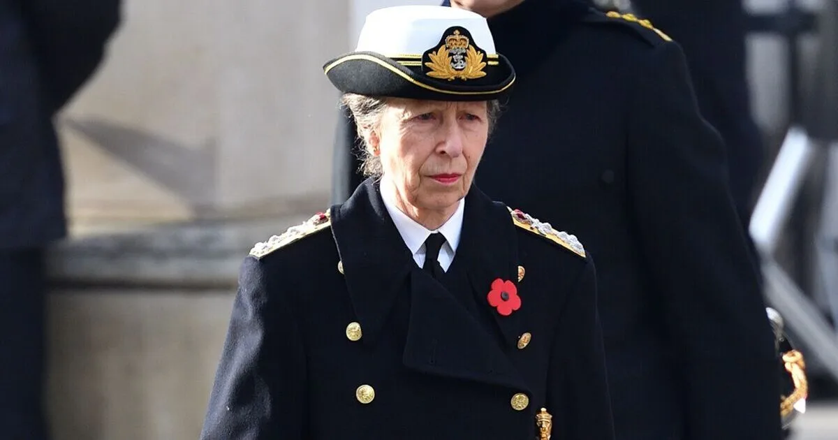 Princess Anne's Heartwarming Gesture at London Event Wins Praise