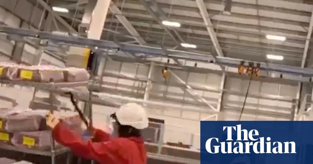 Pro-Palestine Activists Jailed for Terror-Linked Attack on UK Arms Factory