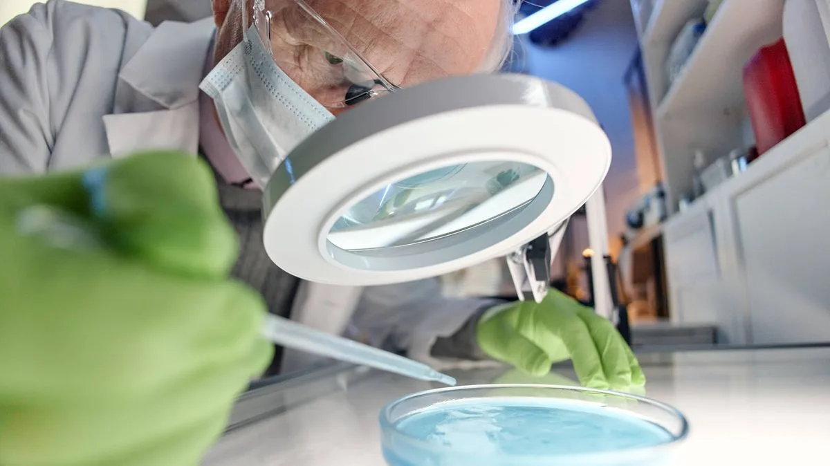Protein Discovery Could Transform Bowel and Liver Cancer Care