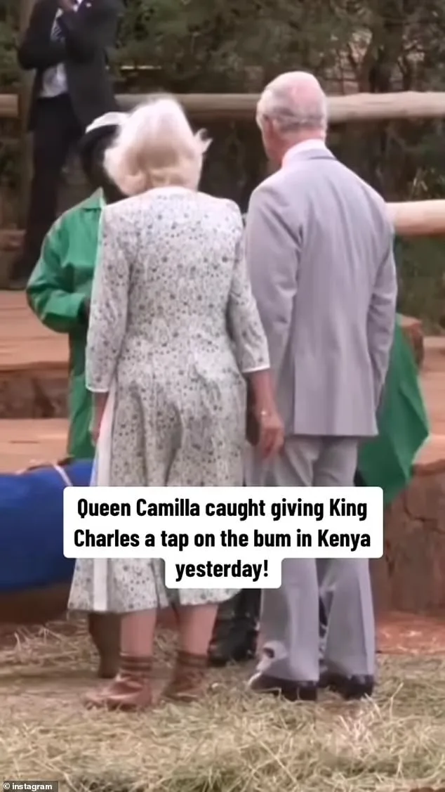 Queen Camilla's Playful Pat Steals Show During Kenya Visit