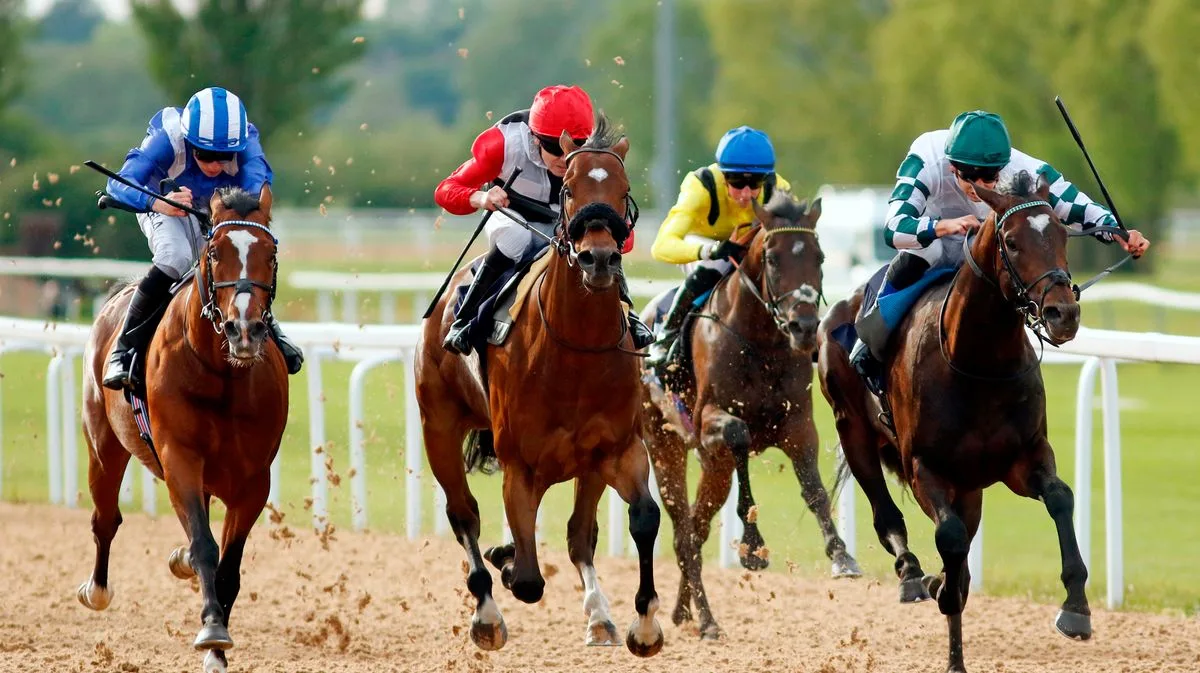 Racehorse Escapes Southwell Track, Gallops into Town After Race