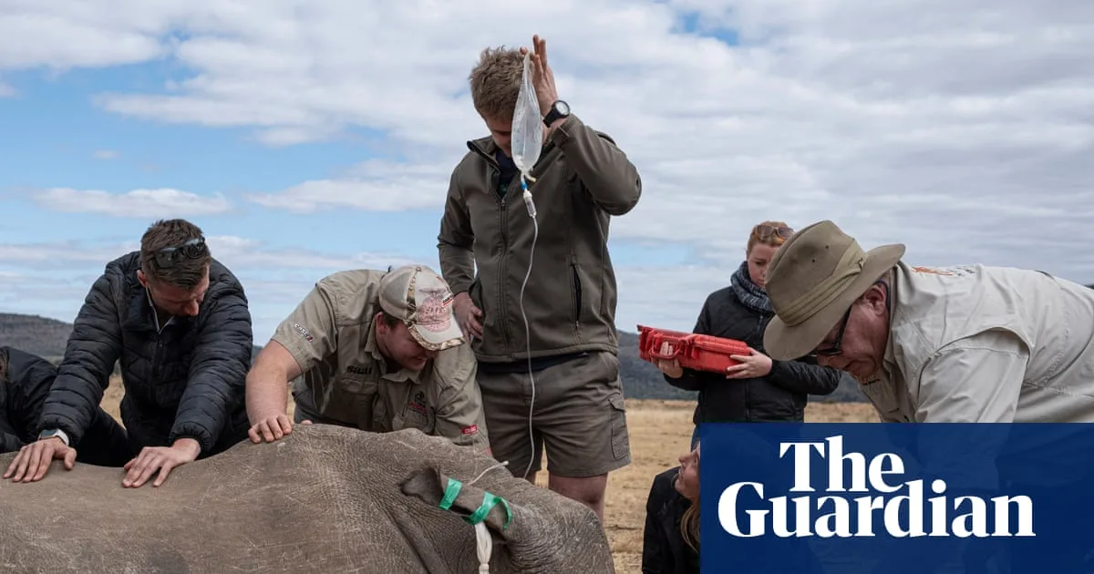 Radioactive Rhino Horns Used to Thwart Poachers in South Africa