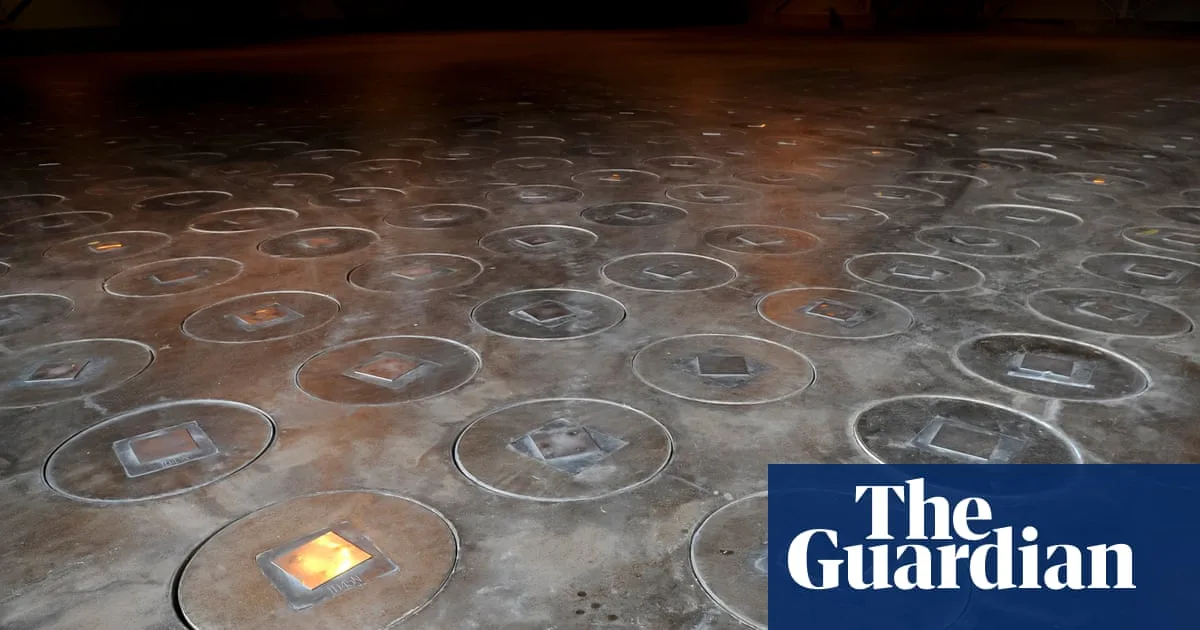 Radioactive wasp nest discovered at South Carolina nuclear site