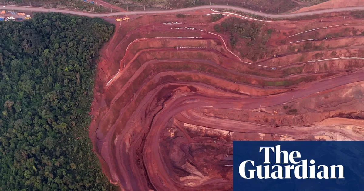 Rainforests Pushed to Breaking Point by New Resource Demands, Report Warns