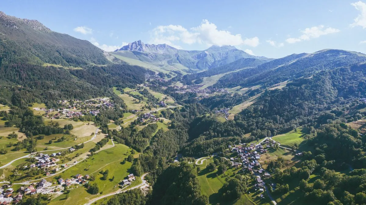 Rare Tick-Borne Encephalitis Cases Surge in French Alps, Brits Warned