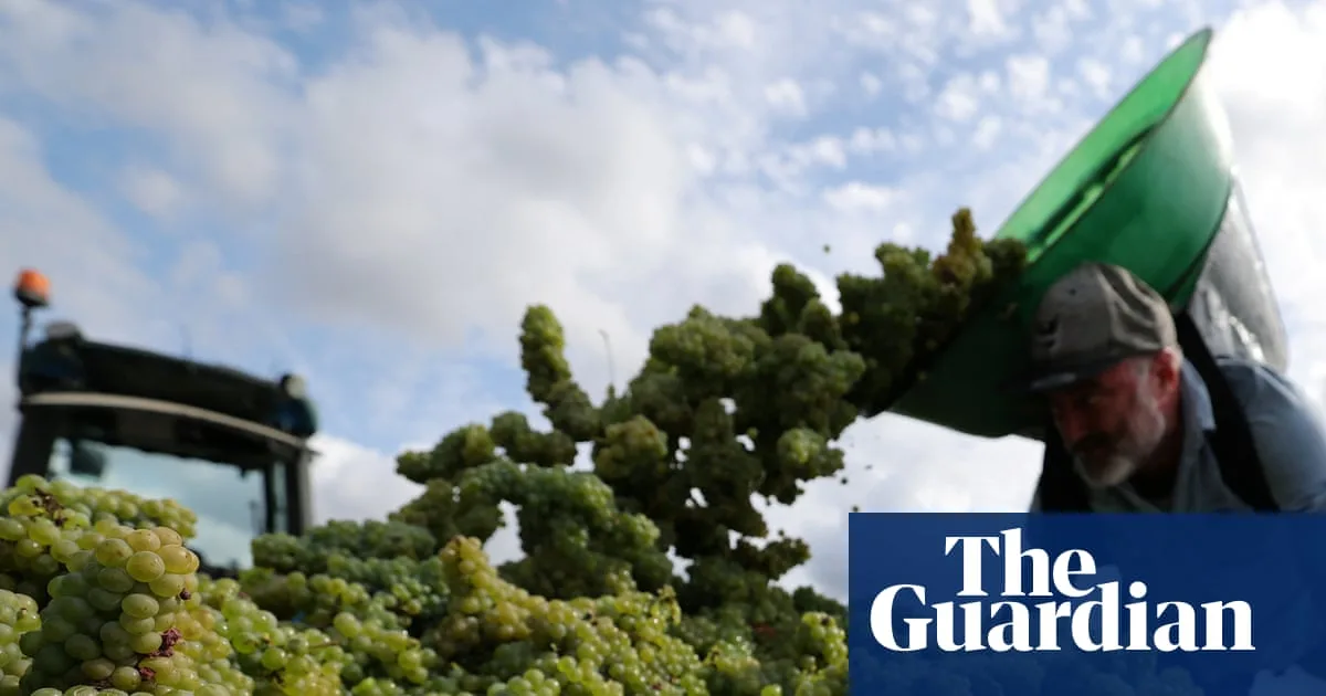 Europe Braces for Dramatic Temperature Swing from Arctic Chill to Extreme Heat