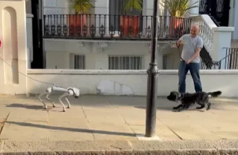 Real Dog Baffled by AI Robot Dog in London Park
