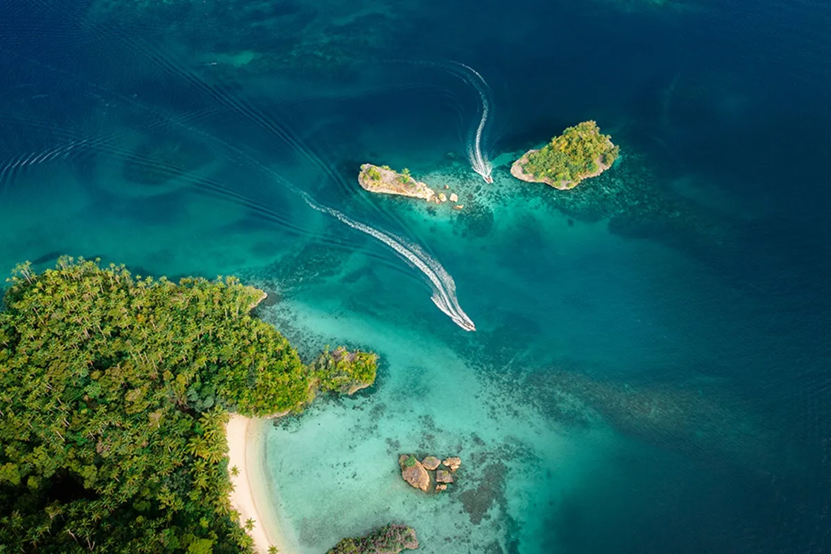 West Papua cruise offers rare glimpse into remote Asmat culture
