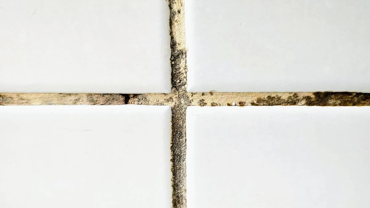 Remove Black Mould From Grout In 10 Minutes Naturally