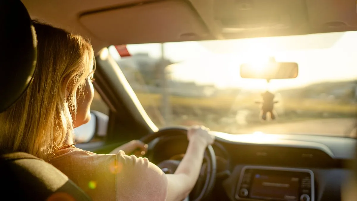 Drivers Warned: Remove Bugs and Pollen or Face £1,000 Fine