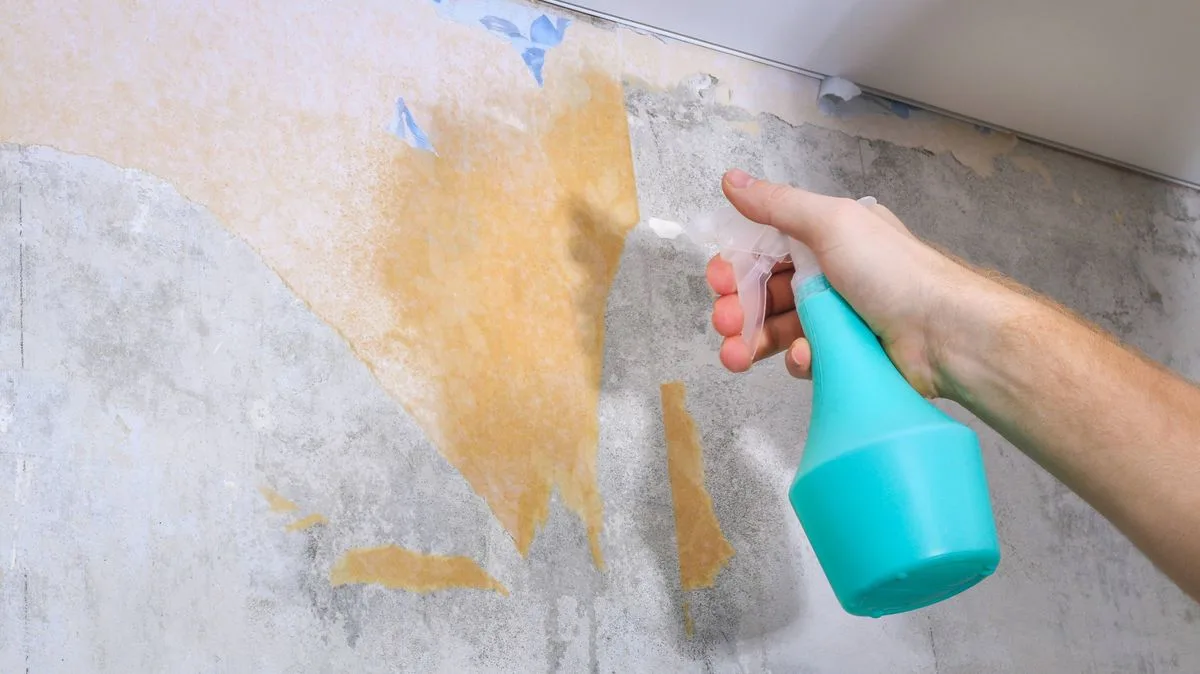 Remove Wallpaper Without Scraping Using Simple Water Spray Hack