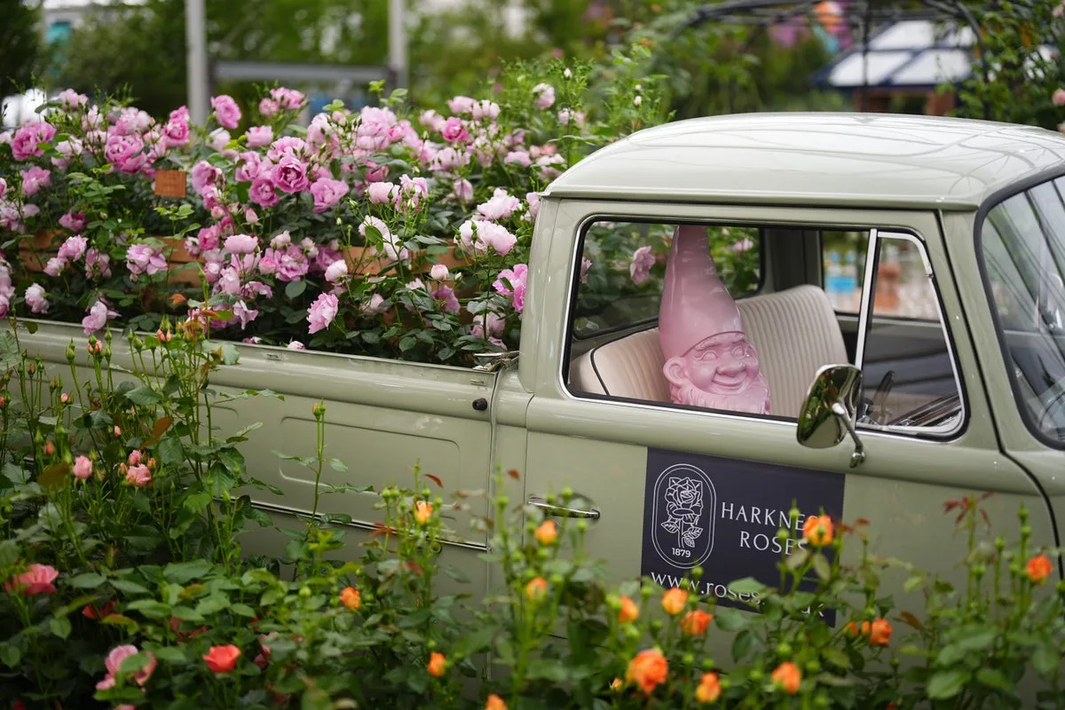 RHS Chelsea Flower Show 2026: Japanese Zen, AI and Wildlife Lead Garden Trends