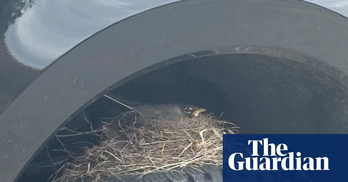 Robin's Nest on Ford Truck Delays Sale Under US Law