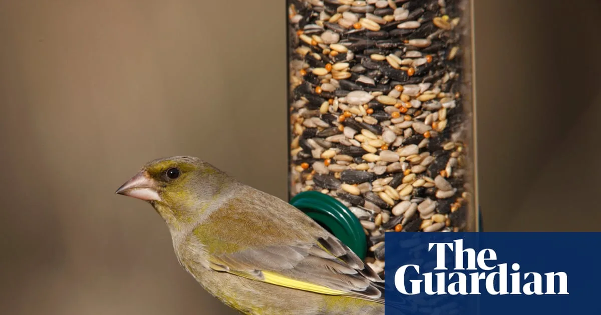 RSPB Urges Pause in Garden Bird Feeding from May 1 to Curb Disease Spread