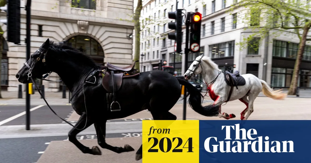 Runaway Military Horses in Serious Condition After Central London Chaos