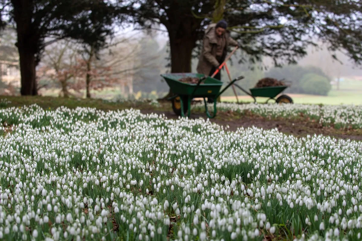 Saffron Walden Named Best Place to Live in UK for 2025