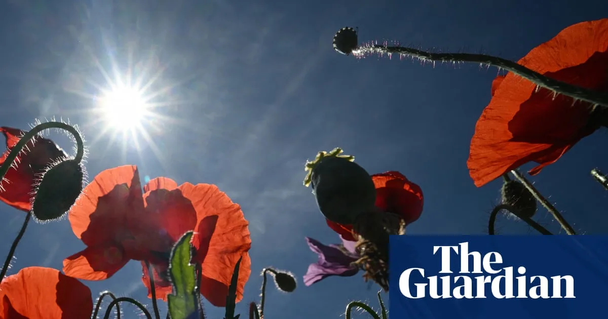 Saharan Surge to Bring 24C Heatwave to UK This Week