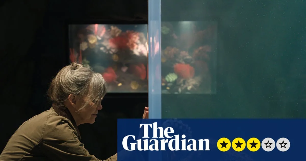 Sally Field Bonds With Octopus in Gentle Netflix Film