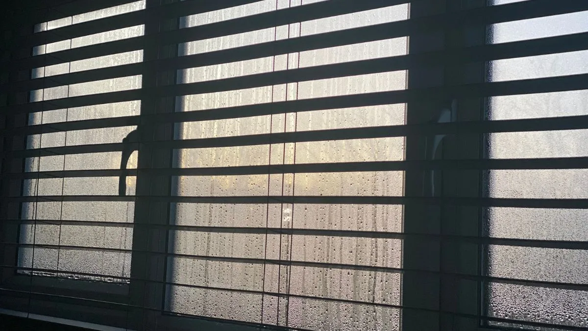 Salt vs Baking Soda: Clear Winner for Window Condensation