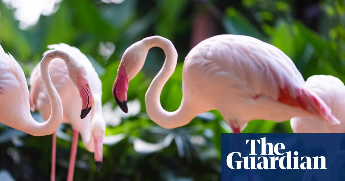 Saturday Quiz: What Links Flamingo, Mercury Fountain and Trois Disques?