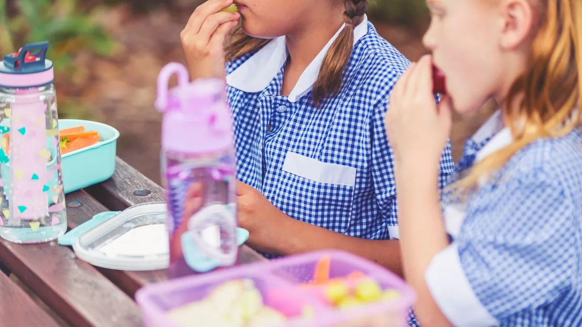 Mum Fumes Over Holiday Club's 'Bonkers' Lunchbox Ban on Cheese and Yoghurt