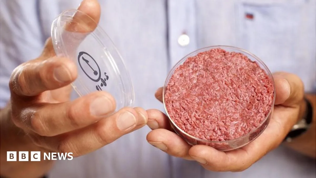 World's First Lab-Grown Burger Tasted in London