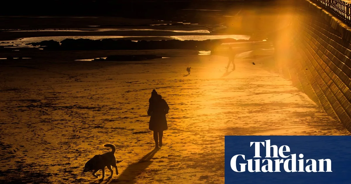 Light Therapy Offers Hope for Winter Depression as Scientists Uncover Seasonal Biology